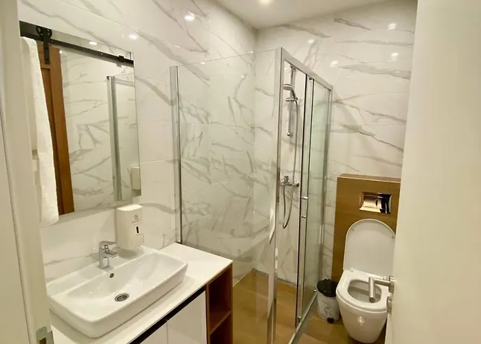 Magnet 12 즐라티보